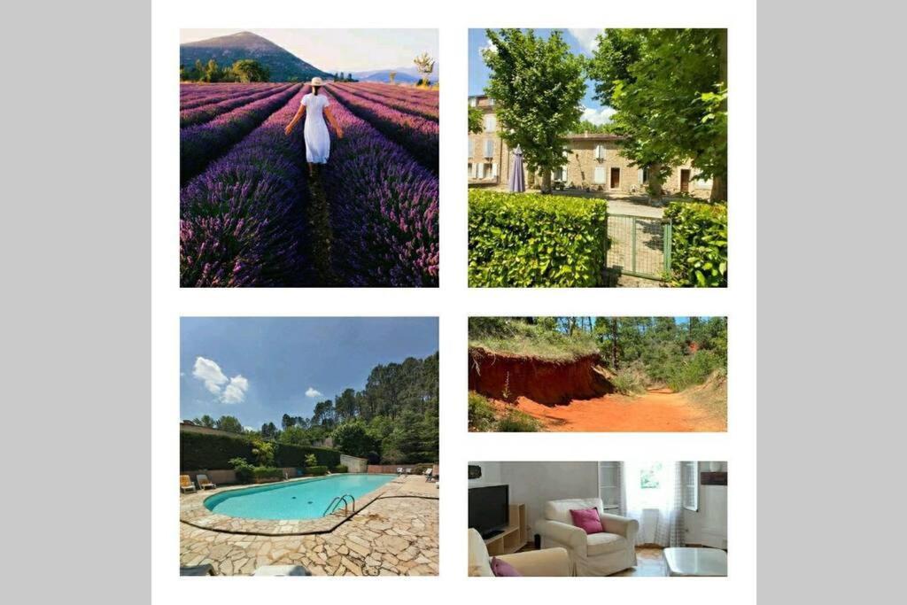 Eblouissant Appartement Au Calme D'Une Residence Avec Piscine Idealement Situe Au Pied Du Colorado Provencal Dans Le Prestigieux Luberon Rustrel Eksteriør billede