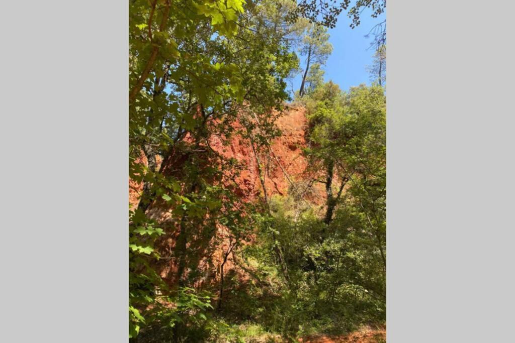 Eblouissant Appartement Au Calme D'Une Residence Avec Piscine Idealement Situe Au Pied Du Colorado Provencal Dans Le Prestigieux Luberon Rustrel Eksteriør billede